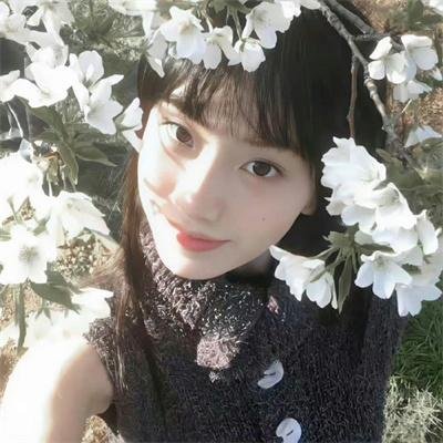 狂赌之渊第二季